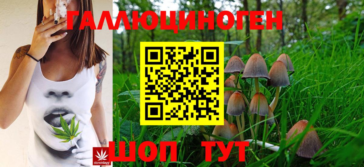 Псилоцибиновые грибы мицелий  Вход с VPN  Валуйки 